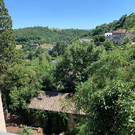 Belle Appartement Rodez Bagian luar foto